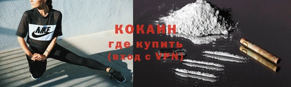ГАЛЛЮЦИНОГЕННЫЕ ГРИБЫ Баксан